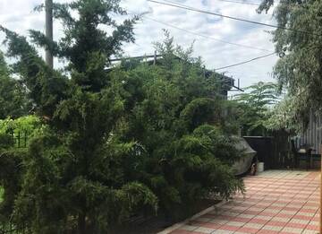 Фотографии Гостевой дом Guest House WhiteHouse г. Затока (Украина) №5 Фото Гостевой дом Guest House WhiteHouse г. Затока 5