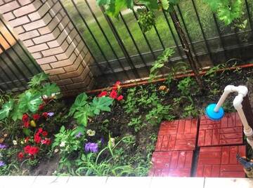 Фото номера Апартаменты с 2 спальнями Гостевой дом Guest House WhiteHouse г. Затока 74
