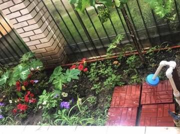 Фото номера Апартаменты с 2 спальнями Гостевой дом Guest House WhiteHouse г. Затока 7